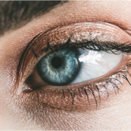 yeux